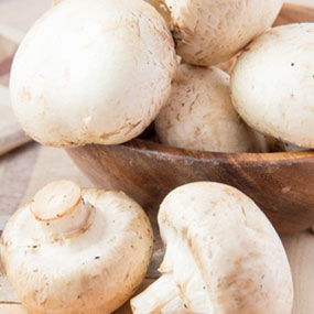 Poêlée de Champignons eXOse